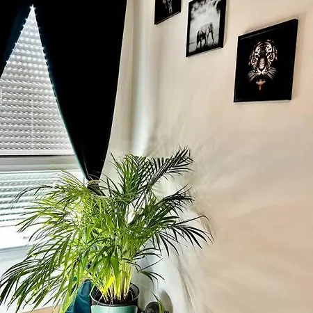 Apartamento The Jungle Senso