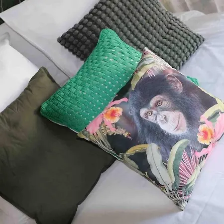 The Jungle Senso Apartamento *
