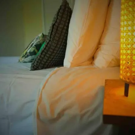 Apartamento The Jungle Senso